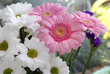 Image showing Bouquet of beautiful delicate flowers