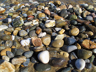 Image showing Wet different sea pebbles on the beach