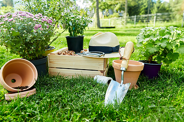 Image showing garden tools, wooden box and flowers at summer