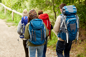 Image showing group of friends with backpacks hiking