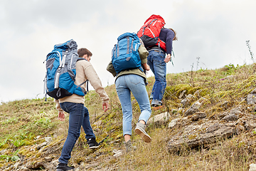 Image showing group of friends with backpacks hiking