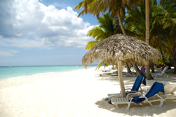 Image showing Tropical beach. The Dominican Republic, Saona Island