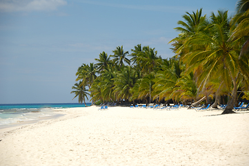 Image showing Tropical beach. The Dominican Republic, Saona Island