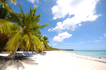 Image showing Exotic beach. The Dominican Republic, Saona Island