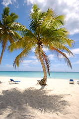 Image showing Exotic beach. The Dominican Republic, Saona Island