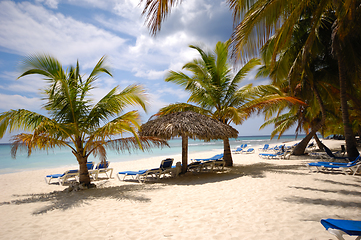 Image showing Exotic beach. The Dominican Republic