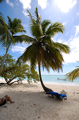 Image showing Exotic beach. The Dominican Republic, Saona Island