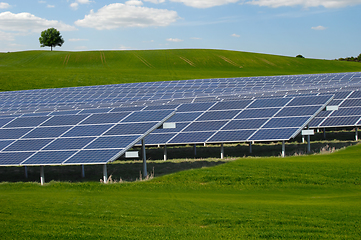 Image showing Rows of solar panels and green nature