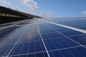 Image showing Rows of solar panels