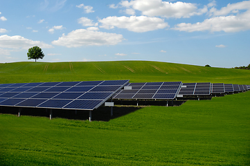 Image showing Rows of solar panels and green nature