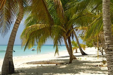 Image showing Tropical beach. The Dominican Republic, Saona Island