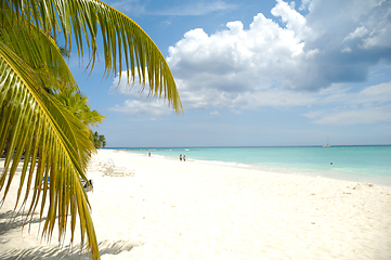 Image showing Tropical beach. The Dominican Republic, Saona Island