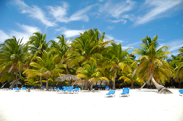 Image showing Tropical beach. The Dominican Republic, Saona Island