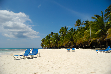 Image showing Tropical beach. The Dominican Republic, Saona Island