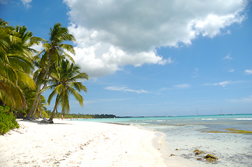 Image showing Tropical beach. The Dominican Republic, Saona Island