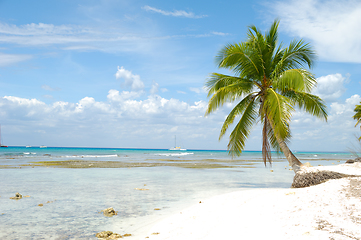 Image showing Tropical beach. The Dominican Republic, Saona Island