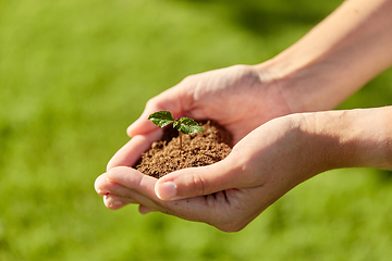 Image showing hands holding plant growing in handful of soil