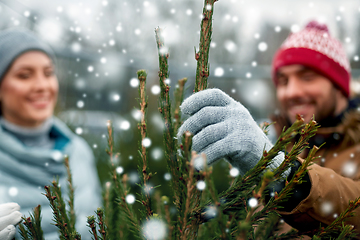 Image showing happy couple buying christmas tree at market