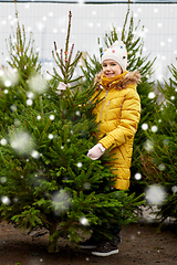 Image showing little girl choosing christmas tree at market