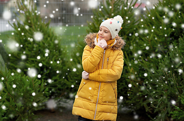 Image showing little girl choosing christmas tree at market