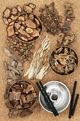 Image showing Chinese Moxibustion Plant Based Treatment with Herbs and Spice