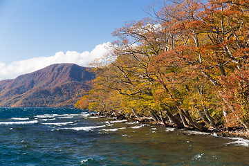Image showing Lake Towada