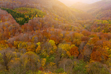 Image showing Hakkodasan in autumn season