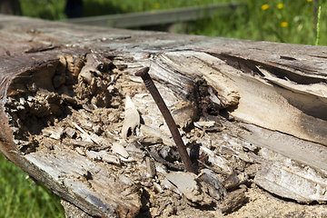 Image showing rusty metallic nail