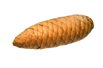 Image showing A cone