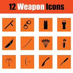 Image showing Set of twelve weapon icons