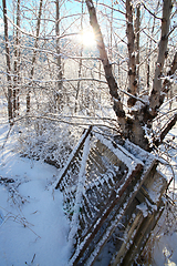 Image showing Snowy gates