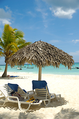 Image showing Tropical beach. The Dominican Republic, Saona Island