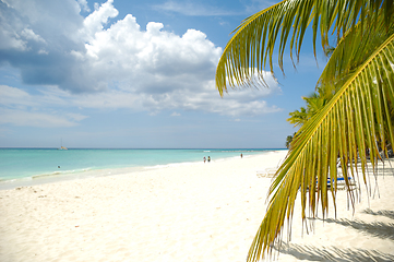 Image showing Tropical beach. The Dominican Republic, Saona Island