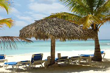 Image showing Tropical beach. The Dominican Republic, Saona Island