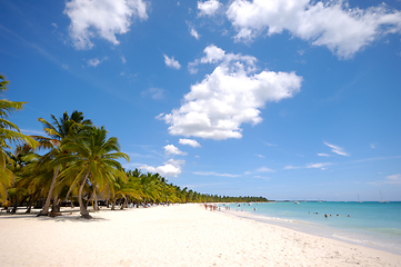 Image showing Tropical beach. The Dominican Republic, Saona Island