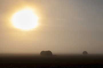 Image showing straw stacks