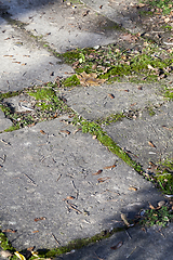 Image showing old concrete slabs