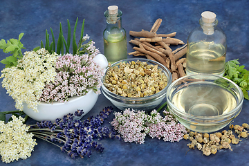 Image showing Herbs and Flowers to Heal Anxiety and Insomnia