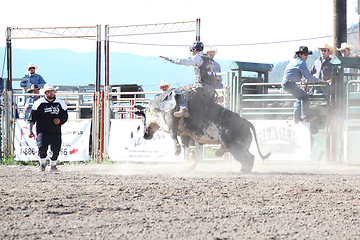 Image showing Ty Pozzobon Invitational PBR