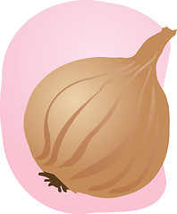 Image showing Onion illustration