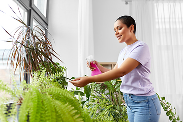 Image showing woman spraying houseplant with water at home