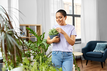 Image showing african american woman with plants at home