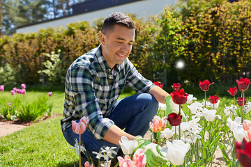 Image showing middle-aged man taking care of flowers at garden