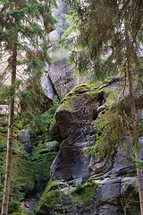 Image showing Rocks and trees, Bohemian Paradise (Cesky Raj), Czech Republic