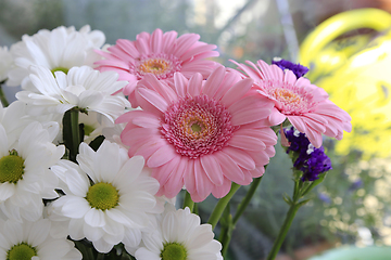 Image showing Bouquet of beautiful flowers