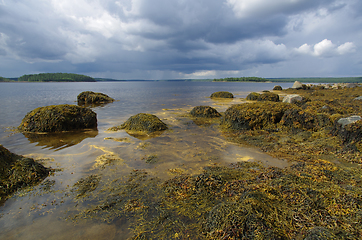 Image showing Coast of the White sea in Karelia, Russia