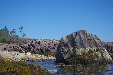 Image showing Coast of the White sea