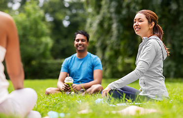 Image showing group of people sitting on yoga mats at park