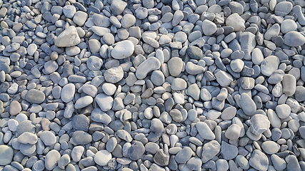 Image showing Nature background from gray sea pebbles