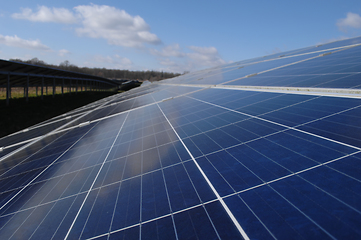 Image showing Rows of solar panels